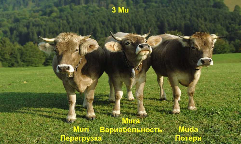 Муда, мура и мури: пример
